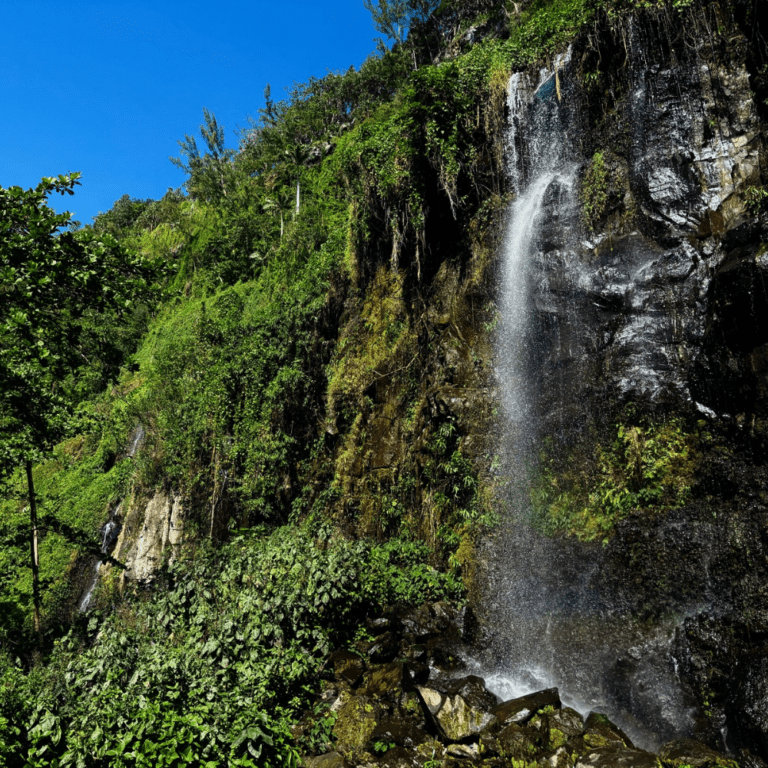 Anse des cascades